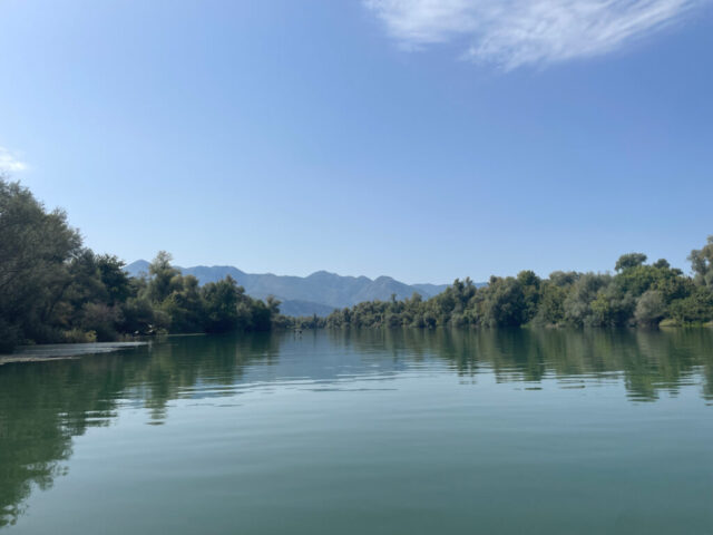 Montenegro_2-Skutari-2